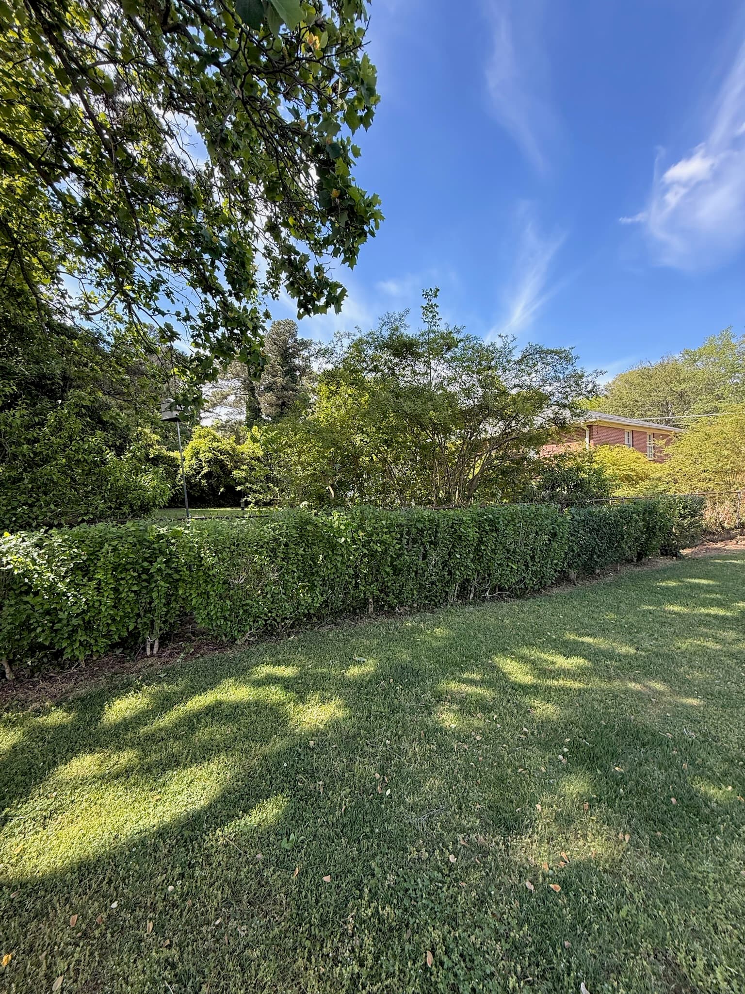 Hedge Trimming & Lawn Care